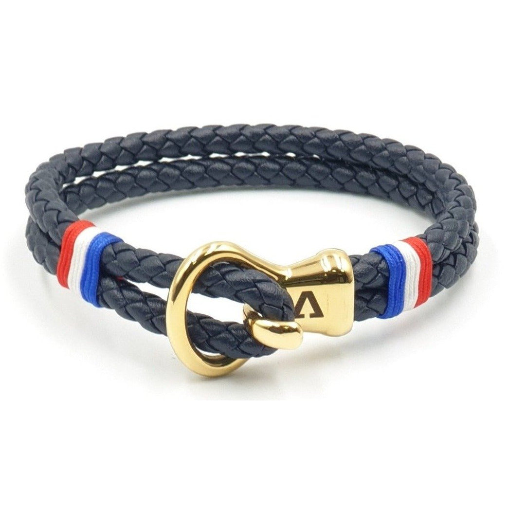 ALV-BSBR0029