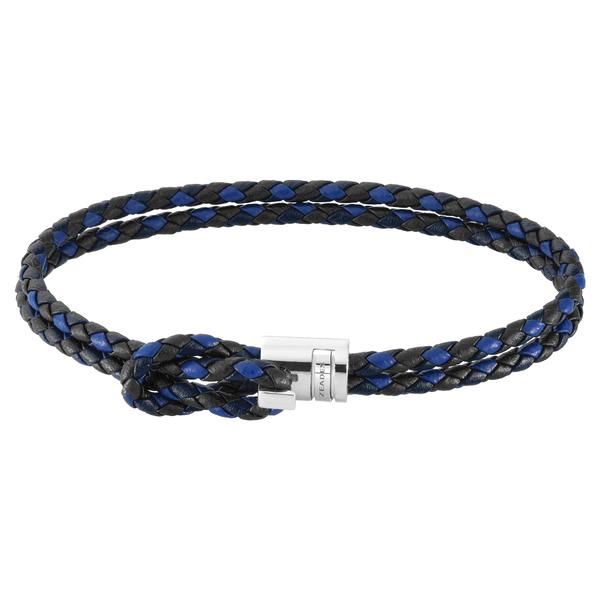 ZMB02513